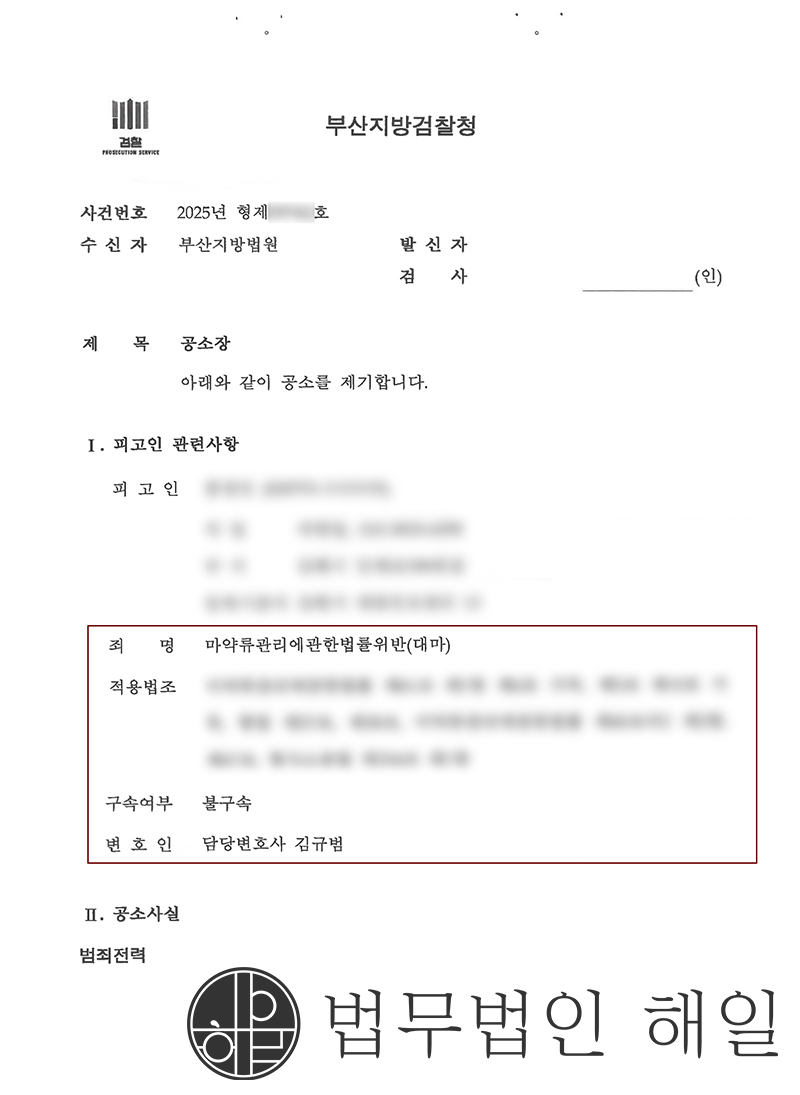 마약 성공사례.png